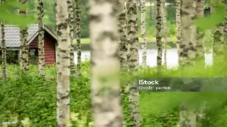 杭城舒压之旅：我的桑拿按摩深度体验记录 海报