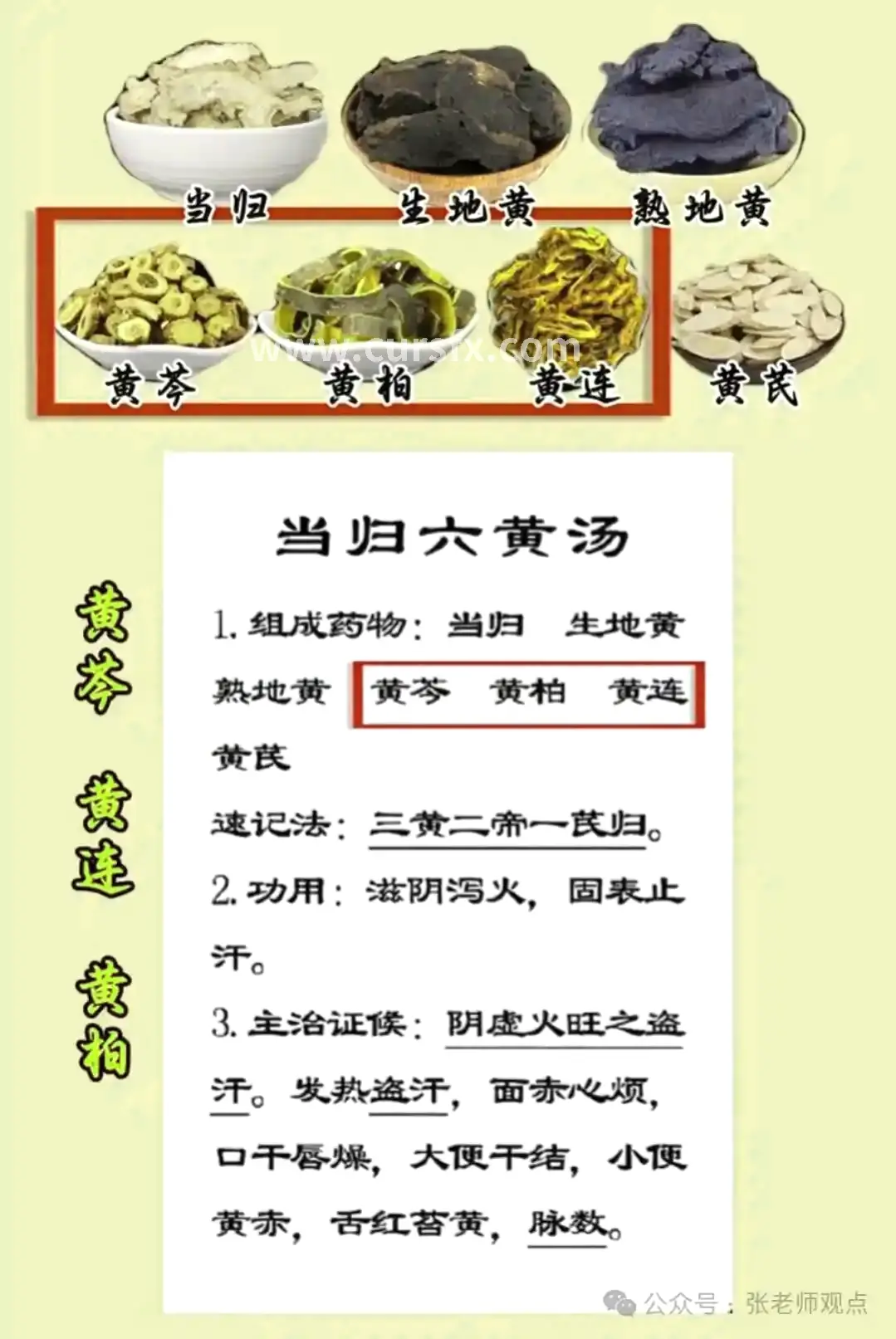 体验报告
